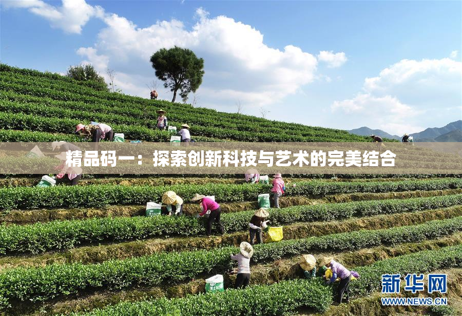 精品码一：探索创新科技与艺术的完美结合
