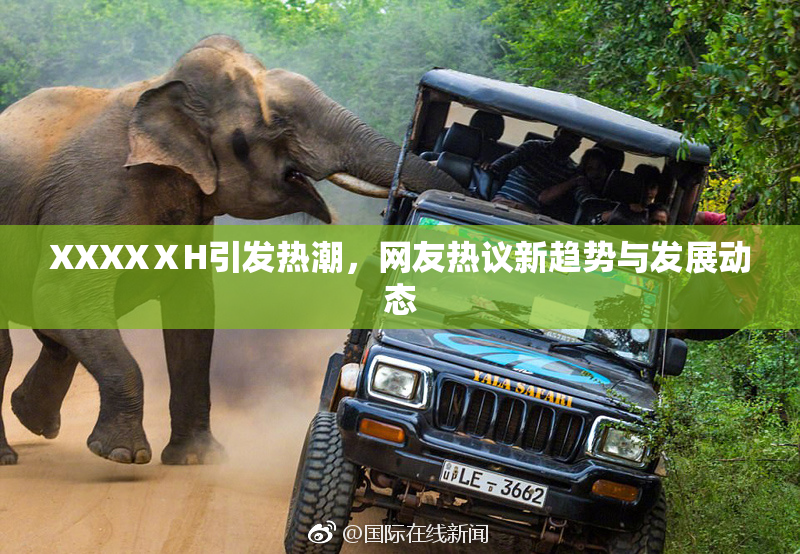 XXXXⅩH引发热潮，网友热议新趋势与发展动态