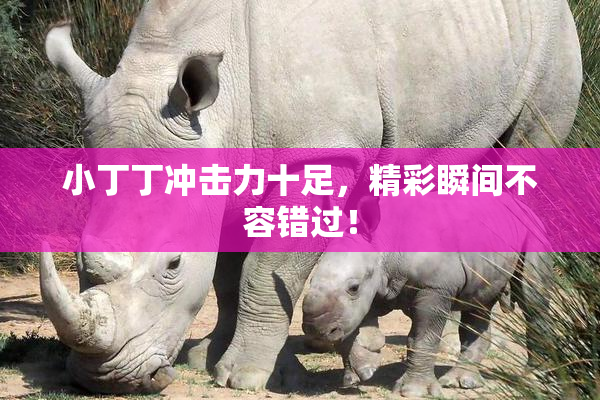 小丁丁冲击力十足，精彩瞬间不容错过！