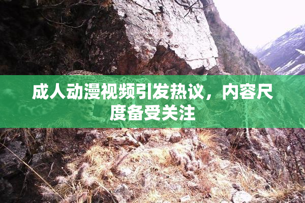 成人动漫视频引发热议，内容尺度备受关注