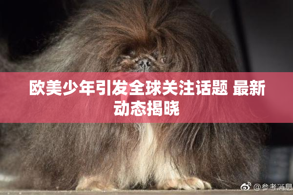 欧美少年引发全球关注话题 最新动态揭晓