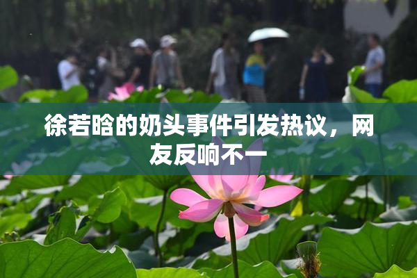 徐若晗的奶头事件引发热议，网友反响不一