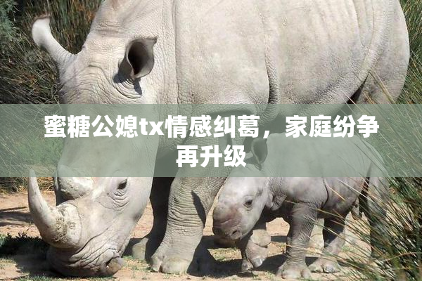 蜜糖公媳tx情感纠葛，家庭纷争再升级