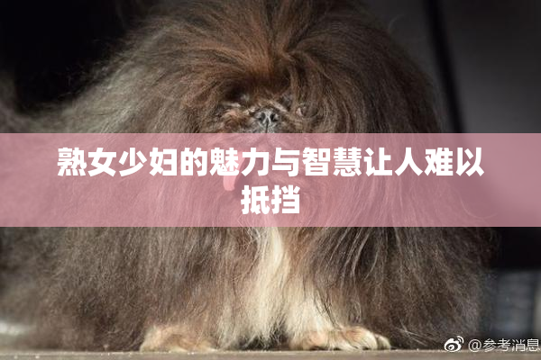 熟女少妇的魅力与智慧让人难以抵挡