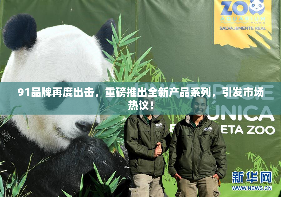 91品牌再度出击，重磅推出全新产品系列，引发市场热议！