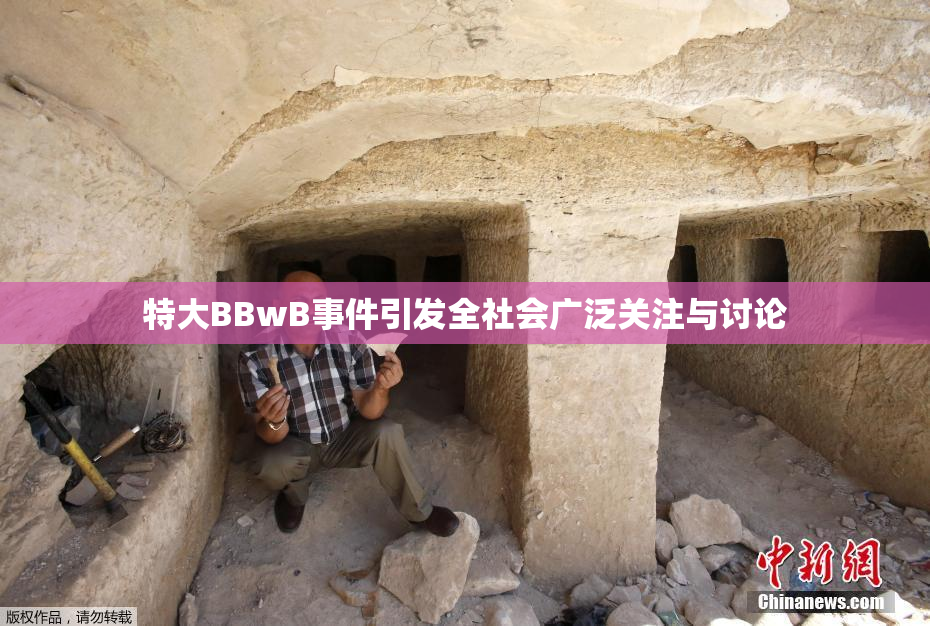 特大BBwB事件引发全社会广泛关注与讨论