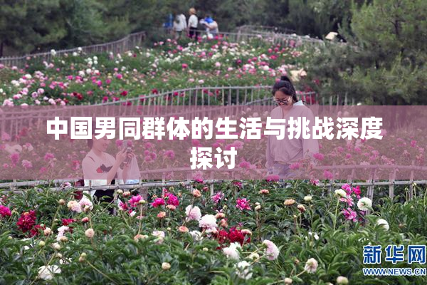 中国男同群体的生活与挑战深度探讨