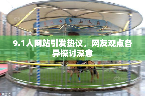9.1人网站引发热议，网友观点各异探讨深意