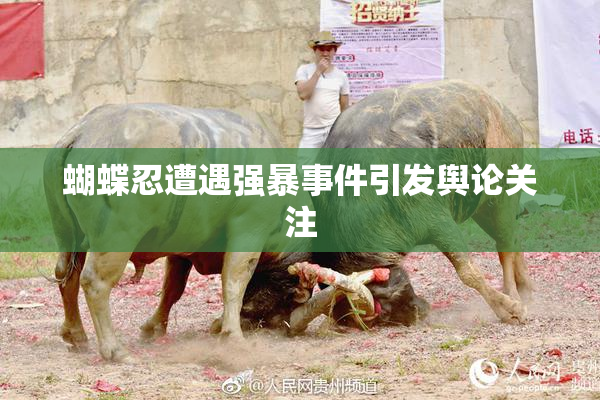 蝴蝶忍遭遇强暴事件引发舆论关注