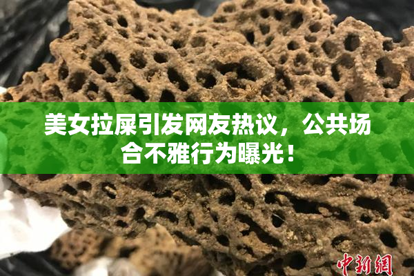 美女拉屎引发网友热议，公共场合不雅行为曝光！