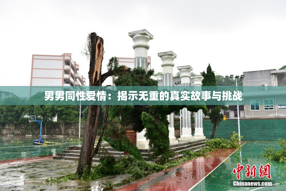 男男同性爱情：揭示无重的真实故事与挑战