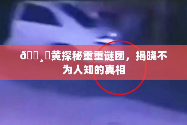 🌸‌黄探秘重重谜团，揭晓不为人知的真相