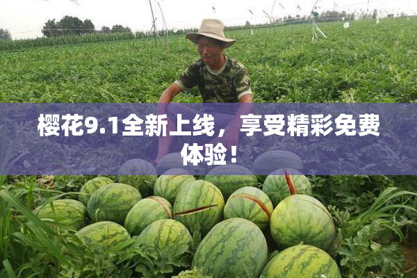 樱花9.1全新上线，享受精彩免费体验！