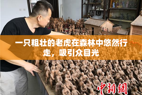 一只粗壮的老虎在森林中悠然行走，吸引众目光