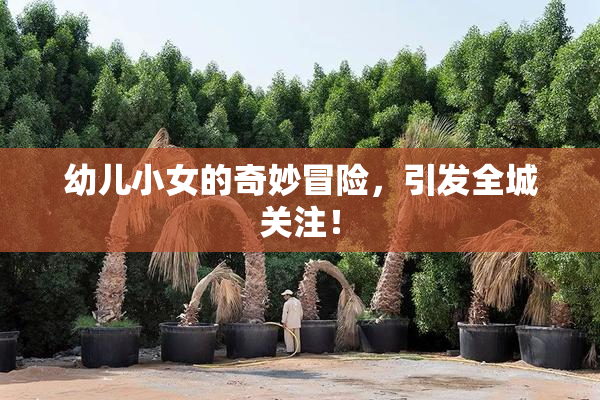 幼儿小女的奇妙冒险，引发全城关注！