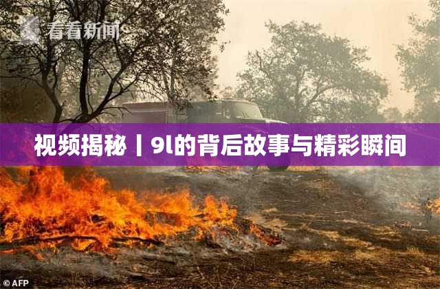 视频揭秘丨9l的背后故事与精彩瞬间