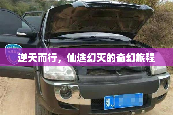 逆天而行，仙途幻灭的奇幻旅程