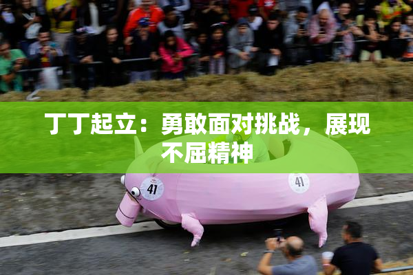 丁丁起立：勇敢面对挑战，展现不屈精神