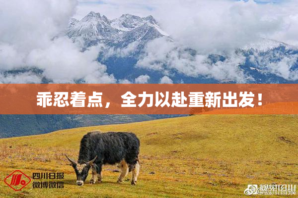 乖忍着点，全力以赴重新出发！