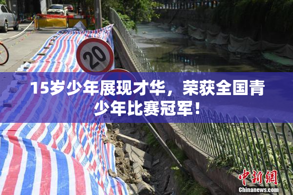 15岁少年展现才华，荣获全国青少年比赛冠军！