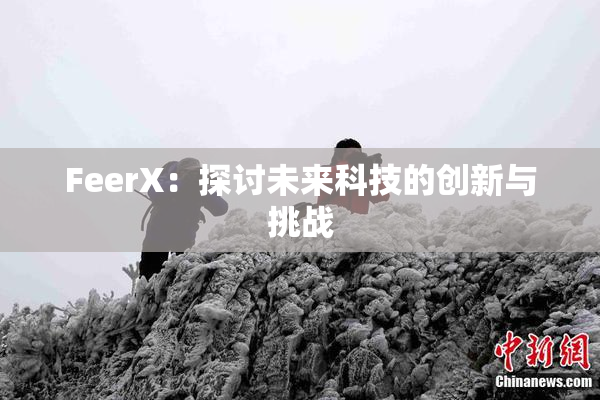 FeerX：探讨未来科技的创新与挑战