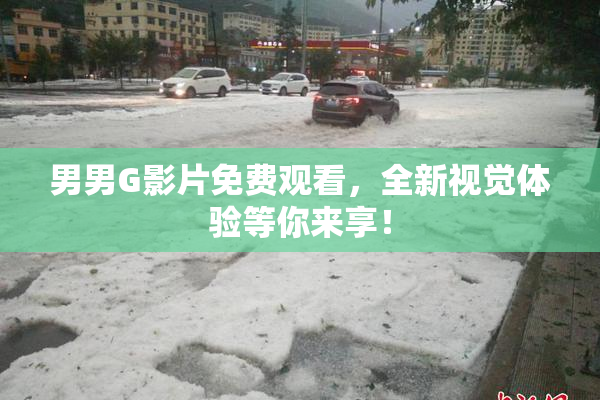 男男G影片免费观看，全新视觉体验等你来享！