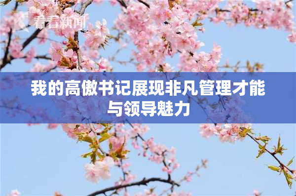 我的高傲书记展现非凡管理才能与领导魅力