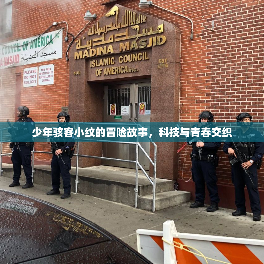 少年骇客小纹的冒险故事，科技与青春交织