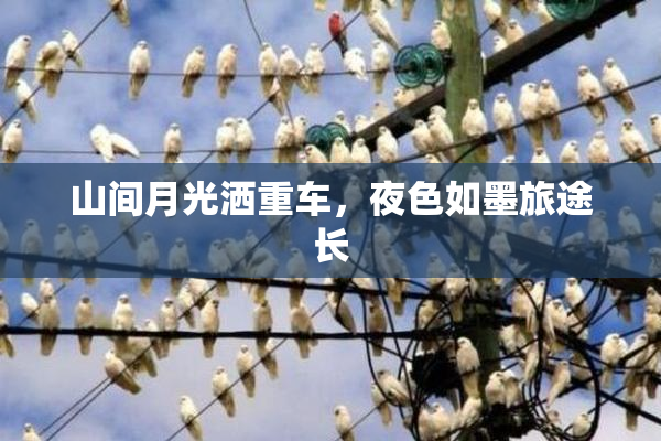 山间月光洒重车，夜色如墨旅途长