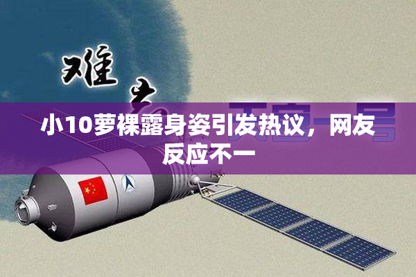 小10萝裸露身姿引发热议，网友反应不一