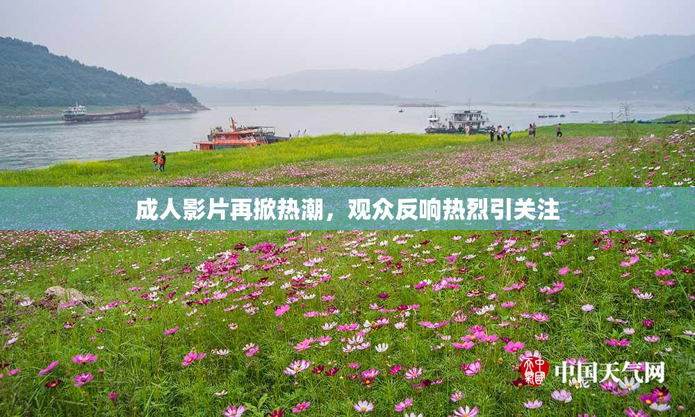 成人影片再掀热潮，观众反响热烈引关注