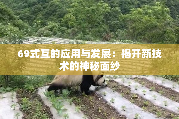 69式互的应用与发展：揭开新技术的神秘面纱