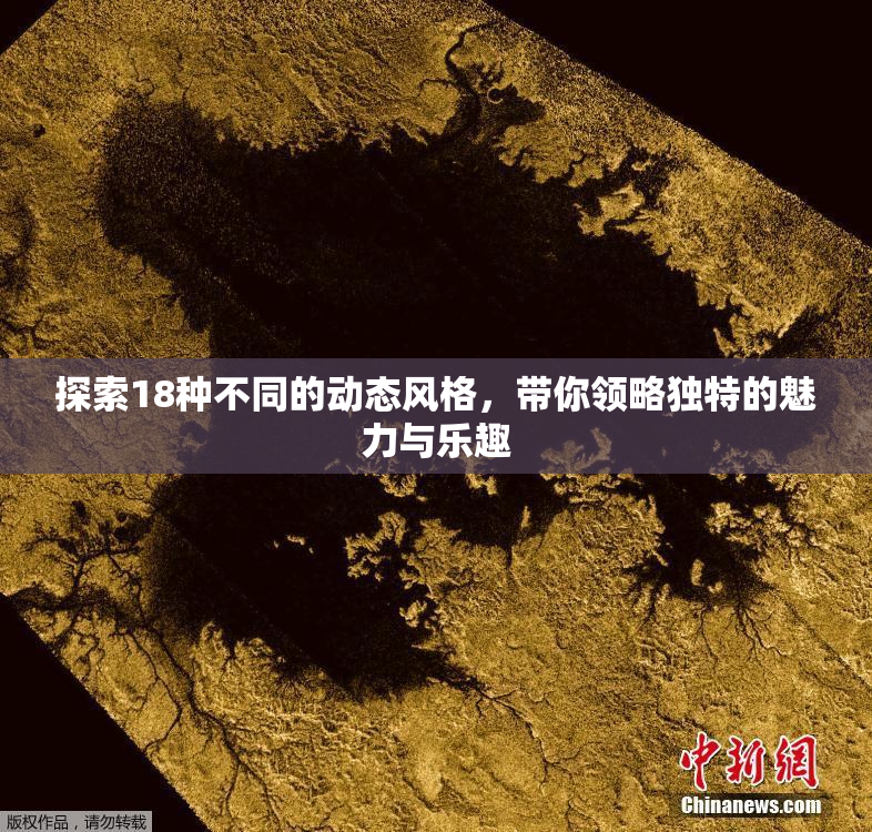 探索18种不同的动态风格，带你领略独特的魅力与乐趣