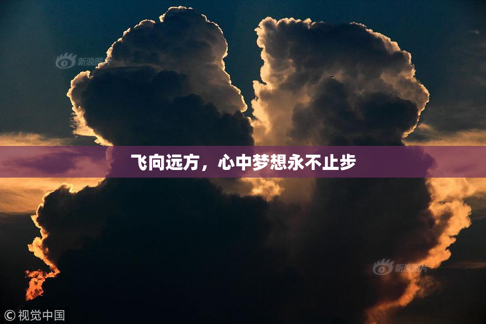 飞向远方，心中梦想永不止步