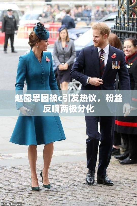 赵露思因被c引发热议，粉丝反响两极分化