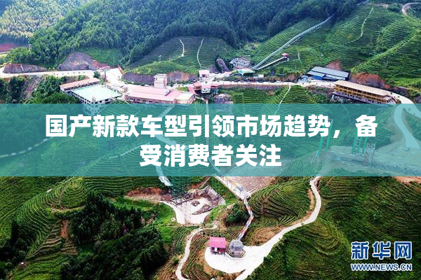 国产新款车型引领市场趋势，备受消费者关注