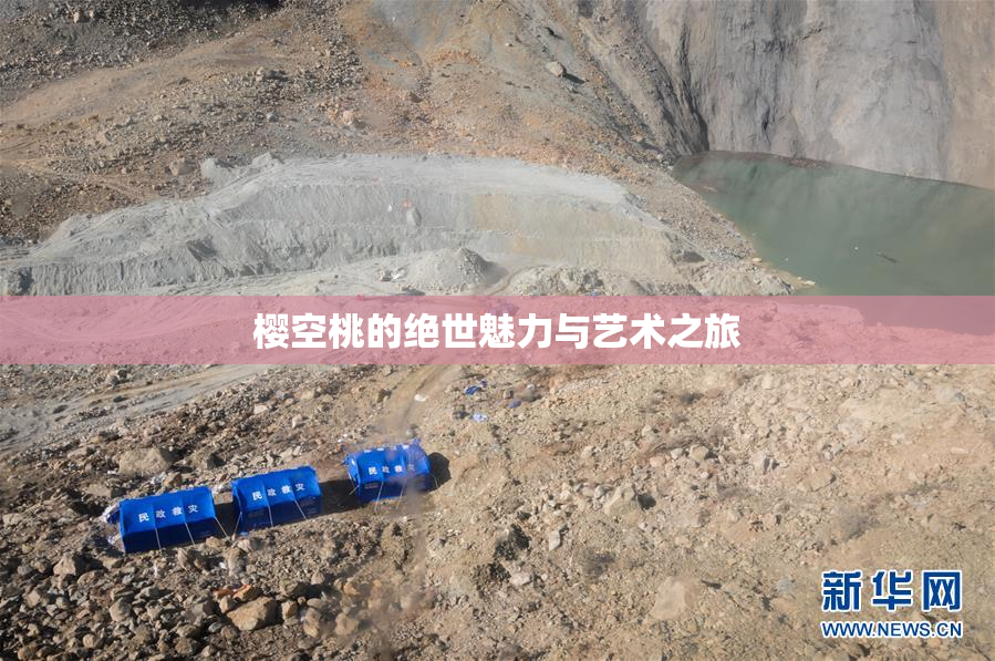 樱空桃的绝世魅力与艺术之旅