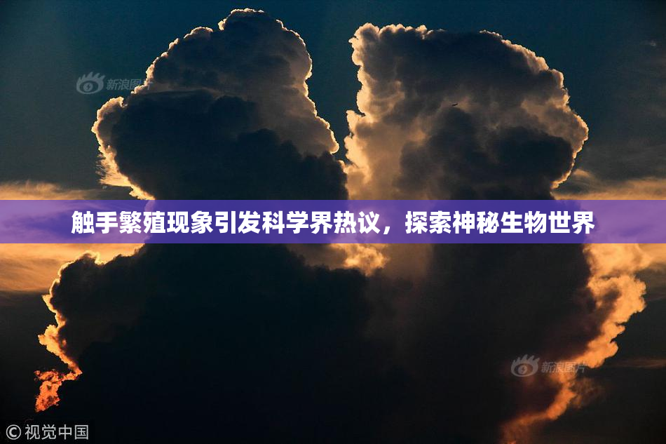 触手繁殖现象引发科学界热议，探索神秘生物世界
