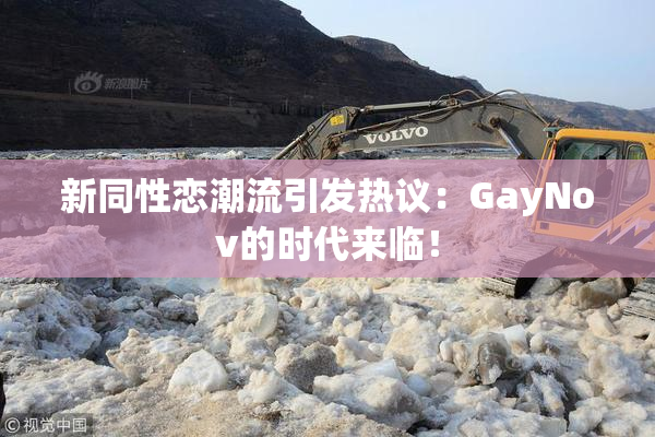 新同性恋潮流引发热议：GayNov的时代来临！