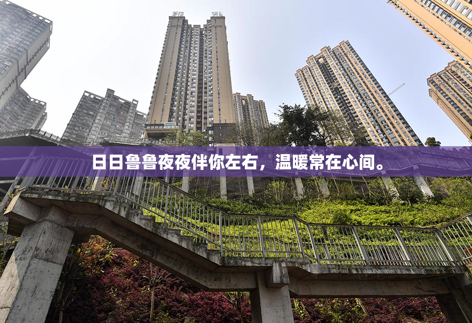日日鲁鲁夜夜伴你左右，温暖常在心间。