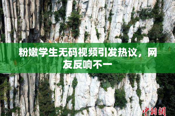 粉嫩学生无码视频引发热议，网友反响不一