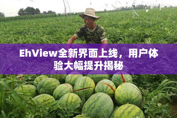 EhView全新界面上线，用户体验大幅提升揭秘