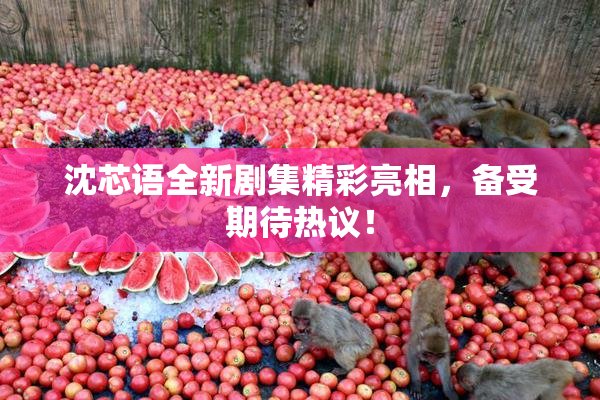 沈芯语全新剧集精彩亮相，备受期待热议！