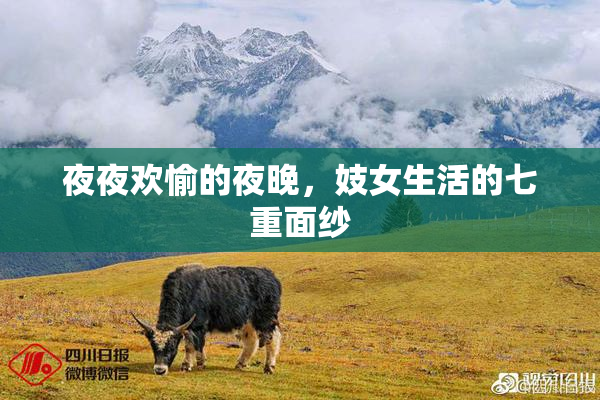 夜夜欢愉的夜晚，妓女生活的七重面纱