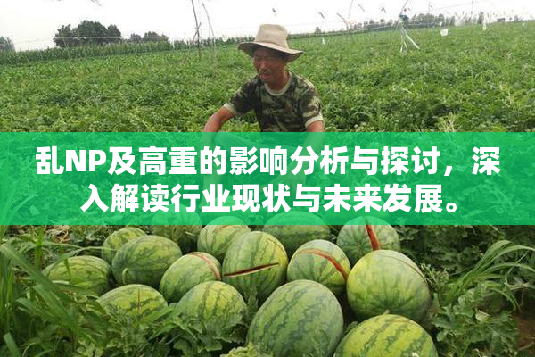 乱NP及高重的影响分析与探讨，深入解读行业现状与未来发展。