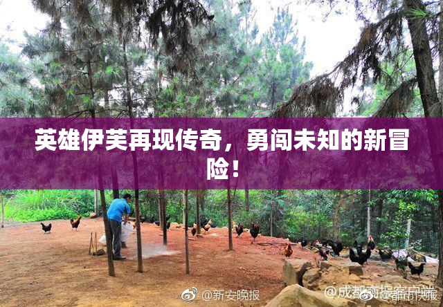 英雄伊芙再现传奇，勇闯未知的新冒险！