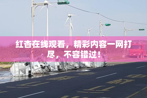 红杏在线观看，精彩内容一网打尽，不容错过！