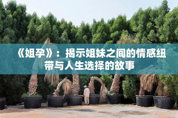 《姐孕》：揭示姐妹之间的情感纽带与人生选择的故事