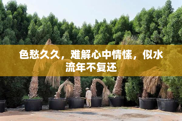 色愁久久，难解心中情愫，似水流年不复还