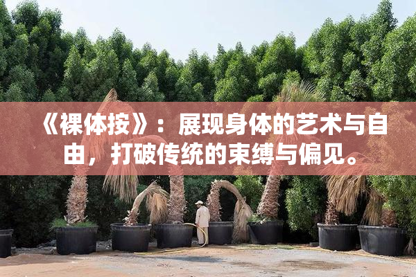 《裸体按》：展现身体的艺术与自由，打破传统的束缚与偏见。